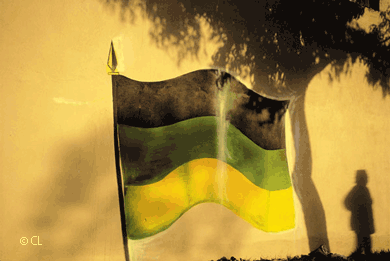 ANC colours